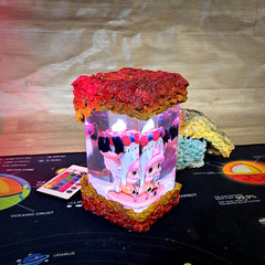 One Piece - Chopper Handmade Night Lights - Kurodrip